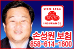 손성원 스테이트팜 보험